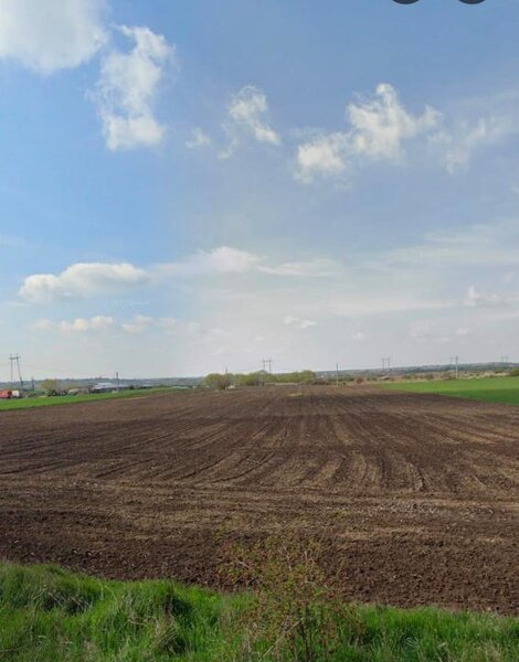 Iepuresti, Gorneni, Giurgiu, Teren intravilan de vanzare, 33.700 mp