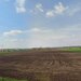 Iepuresti, Gorneni, Giurgiu, Teren intravilan de vanzare, 33.700 mp